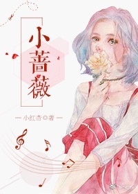小薔薇小說封面