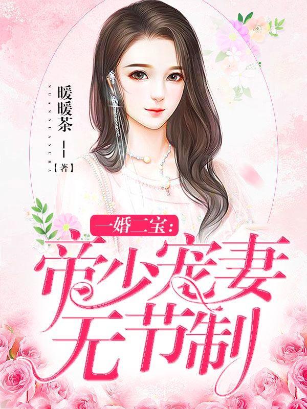 一婚二宝帝少宠妻无度