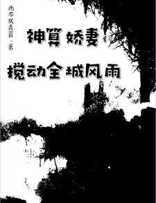 神算简介 神算简介