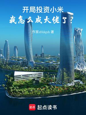 开局投资小米我怎么成大佬了123 开局投资小米我怎么成大佬了123